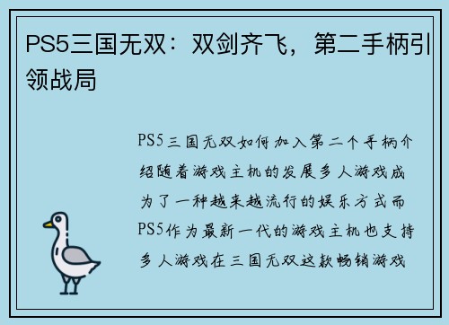 PS5三国无双：双剑齐飞，第二手柄引领战局